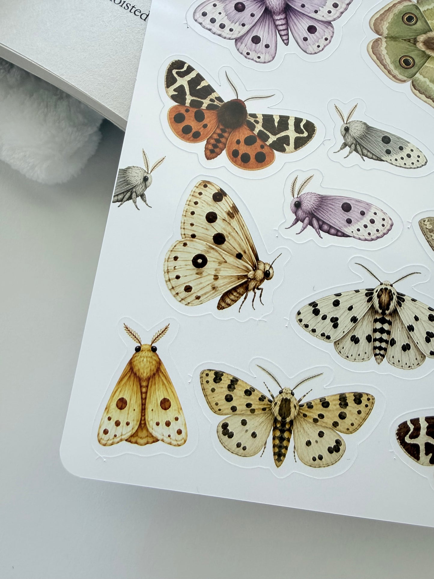 Fantasy Moths Sticker Sheet