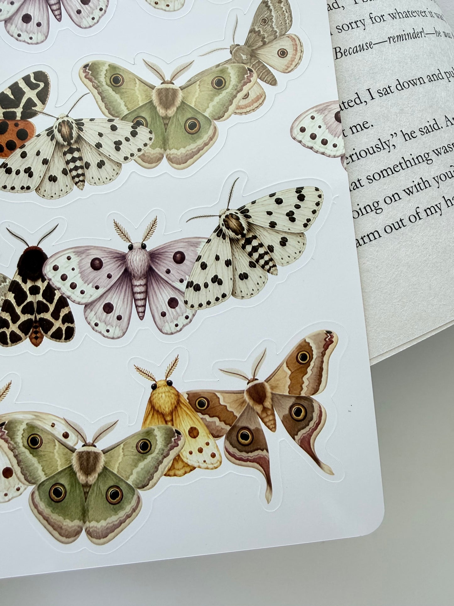 Fantasy Moths Ornate Sticker Sheet I